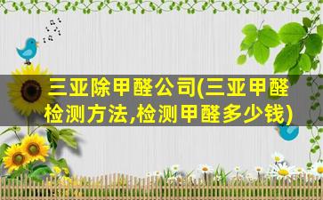三亚除甲醛*(三亚甲醛检测方法,检测甲醛*)