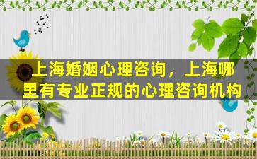 上海婚姻心理咨询，上海哪里有专业正规的心理咨询机构
