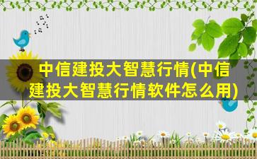 中信建投大智慧行情(中信建投大智慧行情软件怎么用)