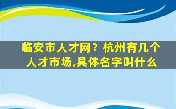 临安市人才网？杭州有几个人才市场,具体名字叫什么
