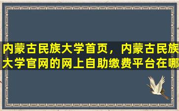 内蒙古民族大学首页，内蒙古民族大学*的网上自助缴费平台在哪