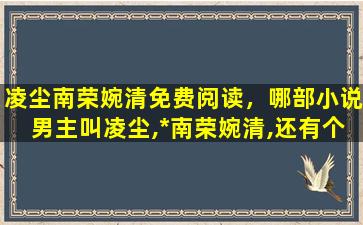 凌尘南荣婉清免费阅读，哪部小说男主叫凌尘,*南荣婉清,还有个叫插图