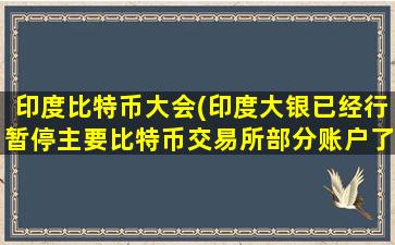 印度比特币大会(印度大银已经行暂停主要比特币交易所部分账户了吗)