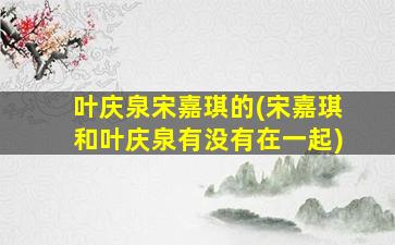 叶庆泉宋嘉琪的(宋嘉琪和叶庆泉有没有在一起)
