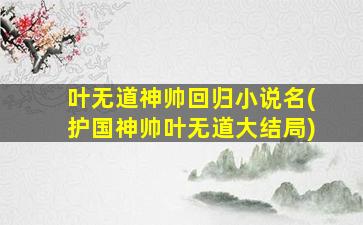 叶无道神帅回归小说名(护国神帅叶无道大结局)