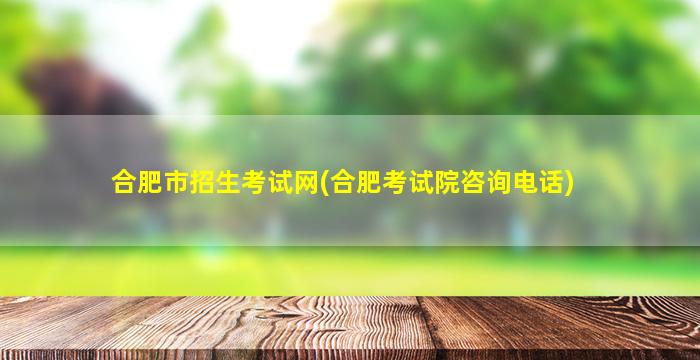 合肥市招生考试网(合肥考试院*)
