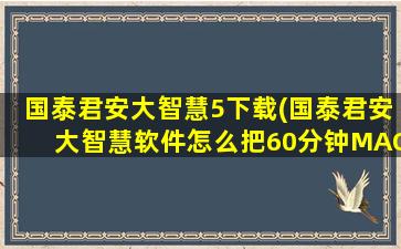 国泰君安大智慧5下载(国泰君安大智慧软件怎么把60分钟MACD线调出)