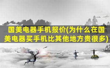 国美电器手机报价(为什么在国美电器买手机比其他地方贵很多)插图