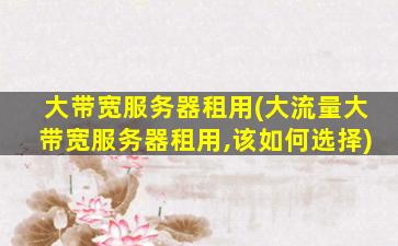大带宽服务器租用(大流量大带宽服务器租用,该如何选择)
