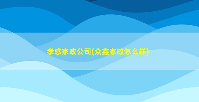 孝感家政*(众鑫家政怎么样)