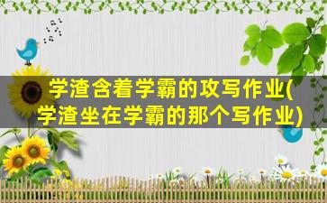 学渣含着学霸的攻写作业(学渣坐在学霸的那个写作业)
