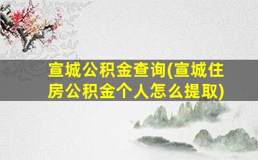 宣城公积金查询(宣城住房公积金个人怎么提取)