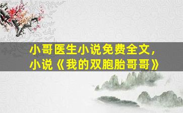 小哥医生小说免费全文，小说《我的双胞胎哥哥》