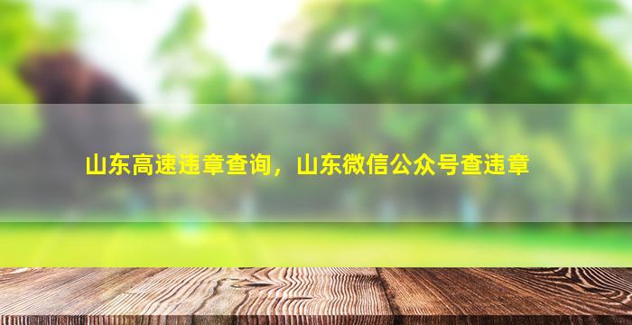 山东高速违章查询，山东微信公众号查违章