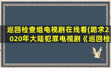 巡回检查组电视剧在线看(跪求2020年大陆犯罪电视剧《巡回检察组》高清视频在线观看)