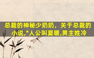 总裁的神秘少奶奶，关于总裁的小说,*人公叫夏暖,男主姓冷插图