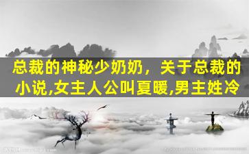 总裁的神秘少奶奶，关于总裁的小说,*人公叫夏暖,男主姓冷