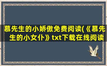 慕先生的小娇傲免费阅读(《慕先生的小女仆》txt下载在线阅读全文,求百度网盘云资源)