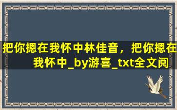 把你摁在我怀中林佳音，把你摁在我怀中_by游喜_txt全文阅读,百度网盘免费下载