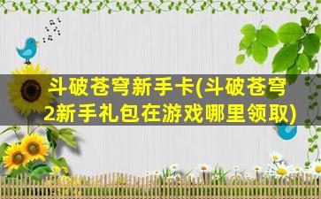 斗破苍穹新手卡(斗破苍穹2新手礼包在游戏哪里领取)