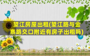望江房屋出租(望江路与金寨路交口附近有房子出租吗)