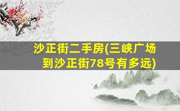沙正街二手房(三峡广场到沙正街78号有多远)