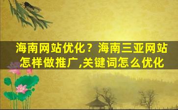海南网站优化？海南三亚网站怎样做推广,关键词怎么优化
