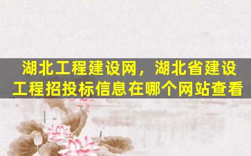 湖北工程建设网，湖北省建设工程招投标信息在哪个网站查看