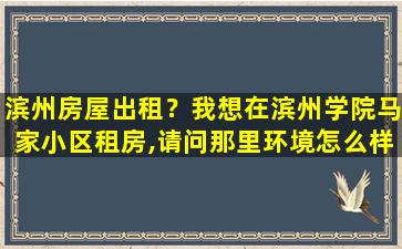 滨州房屋出租？我想在滨州学院马家小区租房,请问那里环境怎么样,安全吗