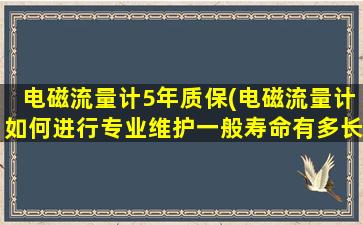 电磁流量计5年质保(电磁流量计如何进行专业维护一般寿命有多长)