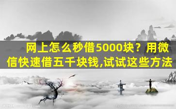 网上怎么秒借5000块？用微信快速借五千块钱,试试这些方法