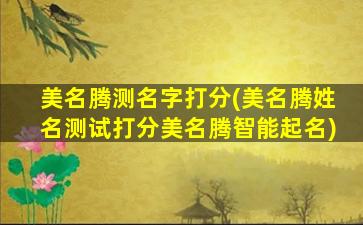 美名腾测名字打分(美名腾姓名测试打分美名腾智能起名)