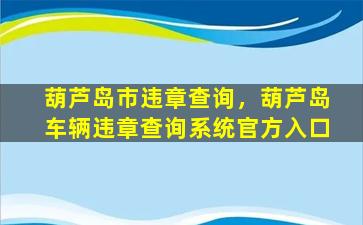 葫芦岛市违章查询，葫芦岛车辆违章查询系统官方入口