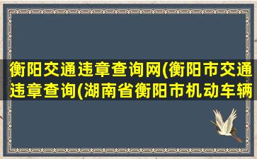 衡阳交通违章查询网(衡阳市交通违章查询(湖南省衡阳市机动车辆违章查询))