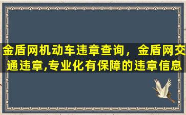 金盾网机动车违章查询，金盾网交通违章,专业化有保障的违章信息查询网站