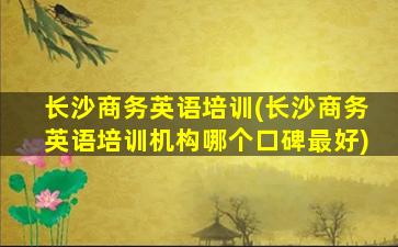 长沙商务英语培训(长沙商务英语培训机构哪个口碑最好)