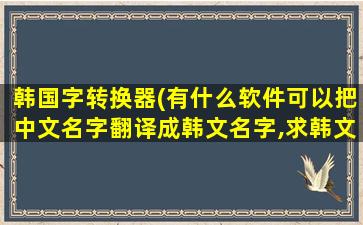 韩国字转换器(有什么软件可以把中文名字翻译成韩文名字,求韩文名字翻译器)